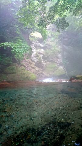 奇麗な川で森林浴