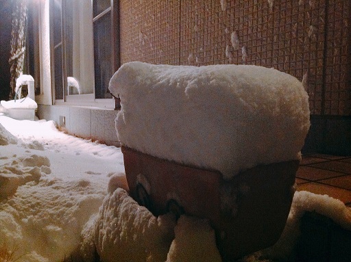 関東４年ぶりの積雪20cm越え♪