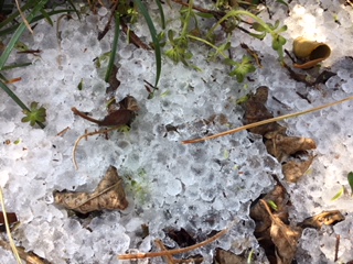 春雷で春を越えて初夏到来？