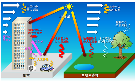 冬も本格化！保湿クリームや美容液をつけるだけでなくコレも重要！