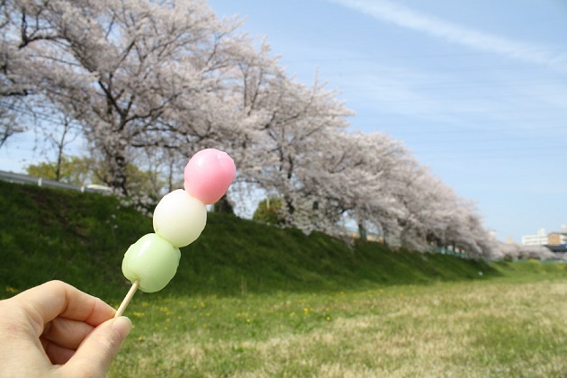 スキンケアは長い年月を使って肌が答えを出すものです