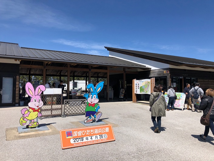 春のお散歩いばらき編　～　ひたち海浜公園の花探索　～