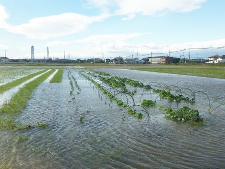 暑くなり始めが注意！熱中症対策万全に♪