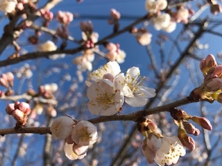 冬の間隠れていた部分がそろそろ気になってきました