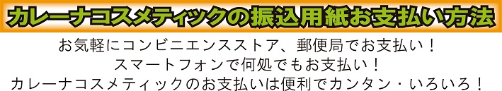 なるべく外出しないでいろいろ済ませたい！カレーナならこんな方法も！