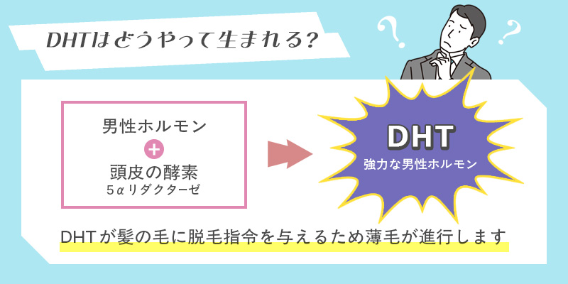 DHTはどうやって生まれる？