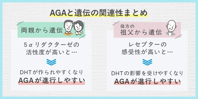 AGAと遺伝の関連性まとめ