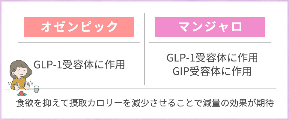 オゼンピックとマンジャロの作用まとめ