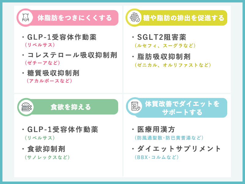 医療ダイエットの内服薬の種類と効果