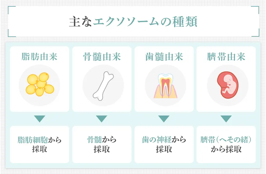 主なエクソソームの4つの種類