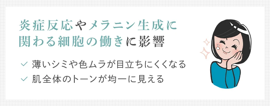 エクソソームの効果：シミ・肌トーン
