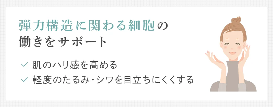 エクソソームの効果：たるみ・しわ