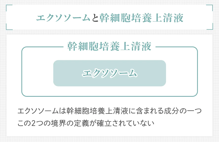 エクソソームと幹細胞培養上清液